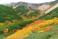 Autumn colours, Tokachi-dake, Daisetsuzan National Park, Hokkaido, Japan.