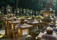 Stone lanterns, Kasuga Taisha Kamizono, Nara-koen, Nara, Japan.