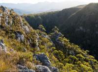 Wayati Gorge, Jubilee Range,  Tasmanian Wilderness World Heritage Area.