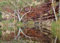Reflection in waterhole, upper Knox Gorge, Hamersley Range, Karijini National Park, Western Australia.