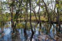 Cascades Creek catchment, Kakadu National Park, Northern Territory