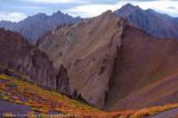 Uplifted, now vertically-dipping sedimentary rock strata of Stok Range, with Autumn (Fall) colour of alpine shrubs, Hemis National Park. Sunrise.