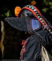Woman in traditonal costumes, Ladakh Festival, Leh, 2013