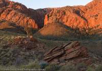 'Canyon of Defiance', Chewings Range, Tjoritja/West MacDonnell National Park, Northern Territory, Australia.