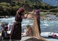 Women winnowing grain, Tsum Valley, Manaslu Circuit trek, Nepal