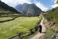 Trail beside field, Manaslu Circuit trek, Nepal