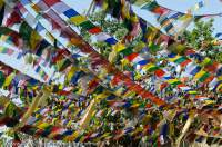 NEPAL, Kathmandu. Prayer flags festoon trees below Swayambhunath (Monkey Temple).