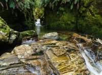Dashwood Stream, Wilmot Pass, Fiordland National Park, New Zealand.