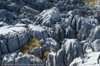 Limestone karst, Mt Owen, Kahurangi National Park, New Zealand