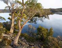 Lake Malbena, Central Plateau, Tasmanian Wilderness World Heritage Area.