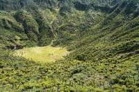 Dokfuma grasslands, Star Mountains, Papua New Guinea.