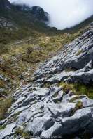 Limestone karst west of Mt Capella, Star Mountains, Papua New Guinea.