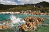 AUSTRALIA, Tasmania, Northwest, Rocky Cape National Park. Quartzite outcrops at Anniversary Bay.