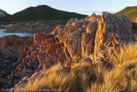 Rocky Cape National Park, northwest Tasmania