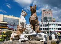 Cat statue in Kuching (which means 