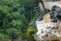 Sandstone cliff & tropical rainforest, Bako National Park, Sarawak, Malaysia.