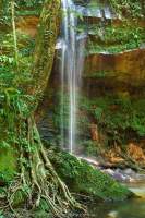 Waterfall at Lambir Hills National Park, Sarawak, Malaysia.