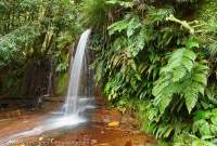 Waterfall at Lambir Hills National Park, Sarawak, Malaysia.