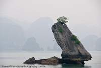 VIETNAM, Northeast, Halong Bay. Limestone karst towers rise steeply from the sea througout the World Heritage-listed bay.