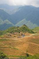 VIETNAM, Northwest Highlands, Sapa. Fields prepared for planting, in valley above Sapa, Fansipan mountain hides in clouds beyond.