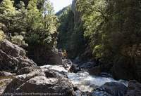 Rainforest gorge, Northwest Tasmania