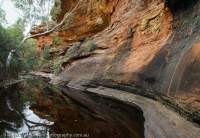 Waterhole, Watarrka National Park (Kings Canyon), Northern Territory, Australia