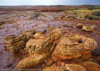 Sandstone pavement, Watarrka National Park (Kings Canyon), Northern Territory, Australia
