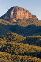 AUSTRALIA, NSW, Coonabarabran, Warrumbungle National Park. Bluff Mountain (1200m), from Belougery Split Rock (771m); the big west face is popular with rockclimbers.