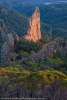 AUSTRALIA, NSW, Coonabarabran, Warrumbungle National Park. The Breadknife, a dyke, the solidified erosional remnants of the internal plumbing of an ancient volcano, from Grand High Tops, sunrise.