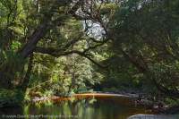 Spero River, Spero-Wanderer area, western Tasmania