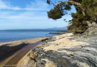Steadman Beach, Macquarie Harbour   south shore, Spero-Wanderer area, western Tasmania