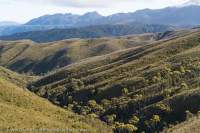 D'Aguilar Range, Sorell-Birches catchment, Tasmanian Wilderness World Heritage Area