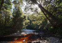 Spero River, Spero-Wanderer region, Southwest Conservation Area, Tasmania