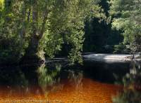 Spero River, Spero-Wanderer region, Southwest Conservation Area, Tasmania