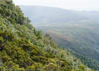 D'Aguilar Range, Spero-Wanderer area, western Tasmania