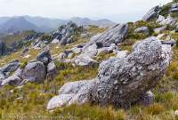 D'Aguilar Range, Spero-Wanderer area, western Tasmania