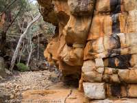 Edeowie Gorge, Wilpena Pound, Flinders Ranges National Park.