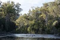 Weld River, Tasmania