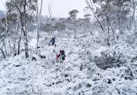 Winter, Walls of Jerusalem, Tasmanian Wilderness World Heritage Area.