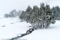 Walls of Jerusalem, Tasmanian Wilderness World Heritage Area.