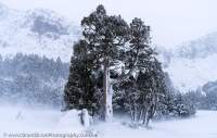 Walls of Jerusalem, Tasmanian Wilderness World Heritage Area.