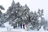 Winter, Walls of Jerusalem, Tasmanian Wilderness World Heritage Area.