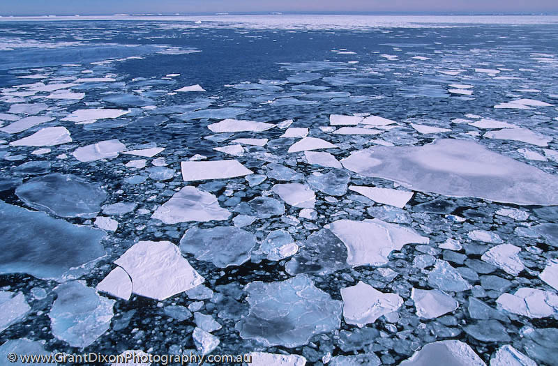 image of Sea ice 1