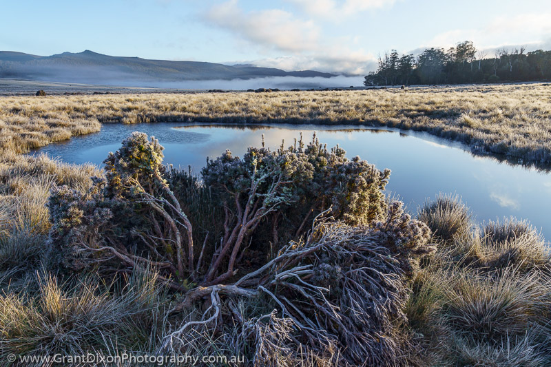 image of Vale of Belvoir frost 2