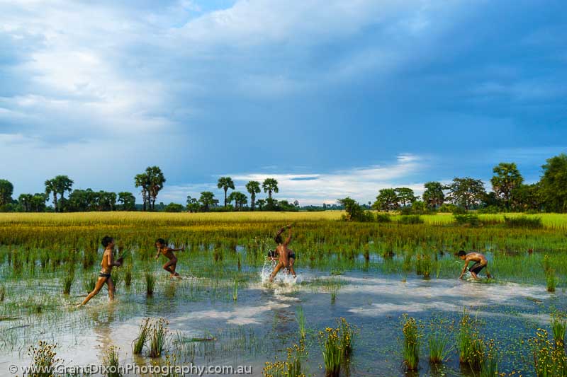 image of Boys playing in rice field 1