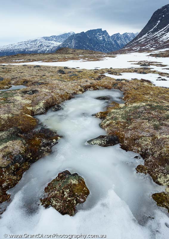 image of Baffin lichen spring thaw 3