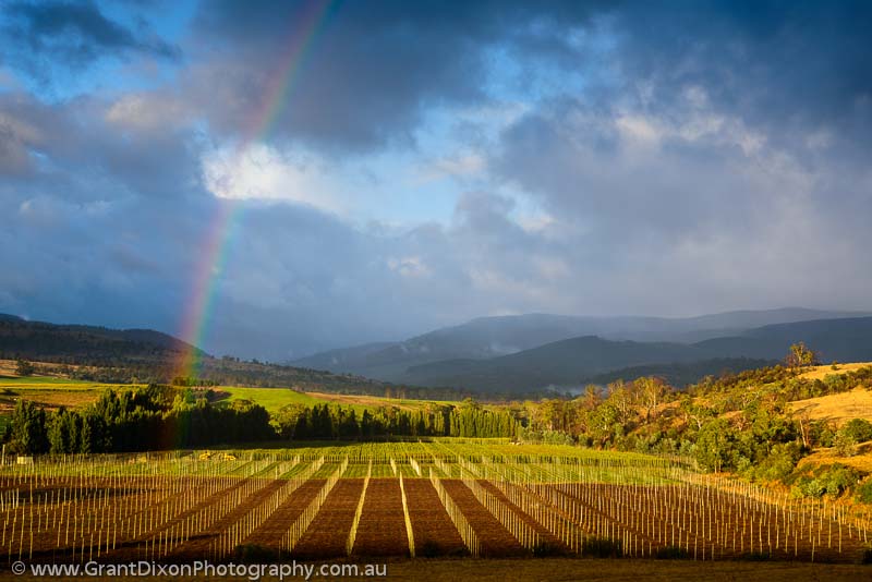 image of Derwent hop fields rainbow