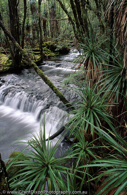 image of Cephissus Creek
