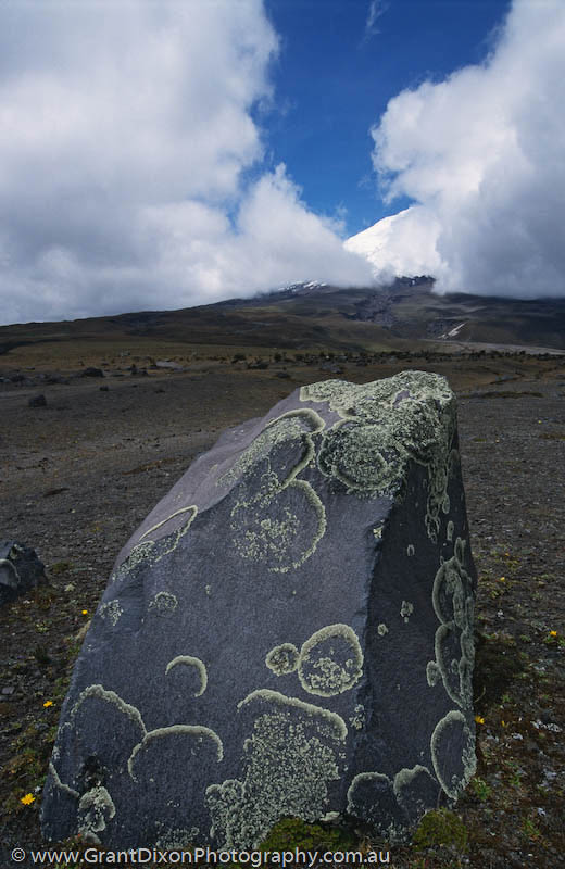 image of Cotopaxi lichen rock