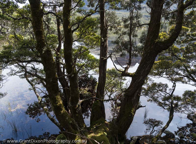 image of Ewart lakeside pines